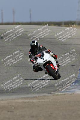 media/Oct-29-2023-Carters at The Track (Sun) [[b2bb4383ab]]/B Plus/120pm (Outside Grapevine)/